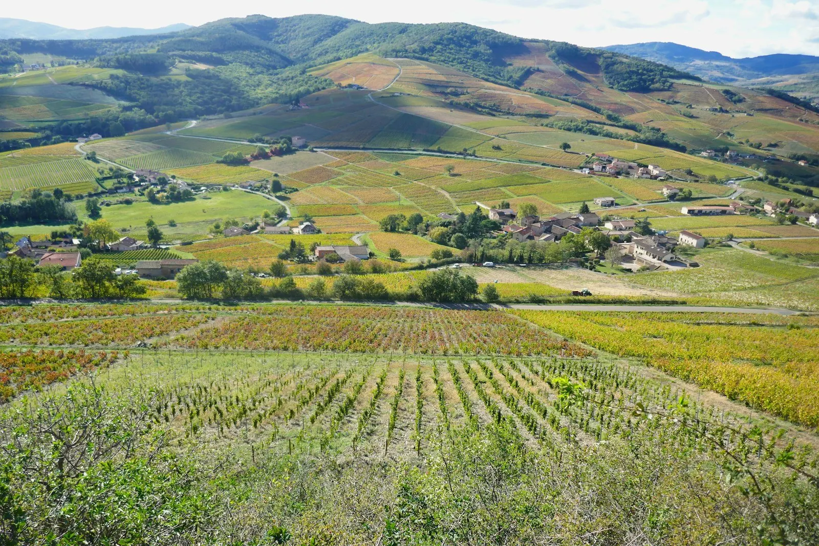 Coteaux de vignes du Beaujolais autour de Brouilly et Odenas, un hameau niché au creux de la vallée